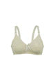 Belleza Lingerie Basic Non Wire Bra - B009
